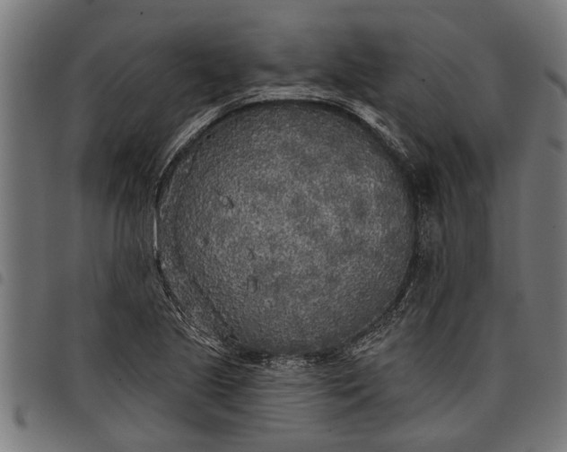 X0000097811221200803281050