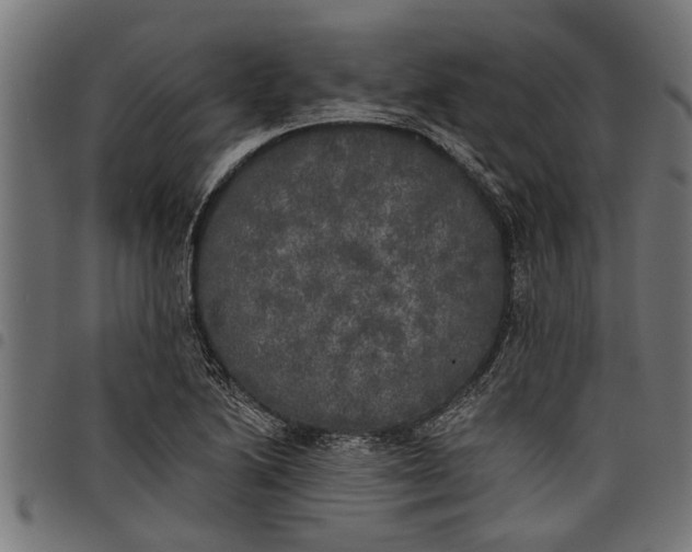 X0000097811222200803281050