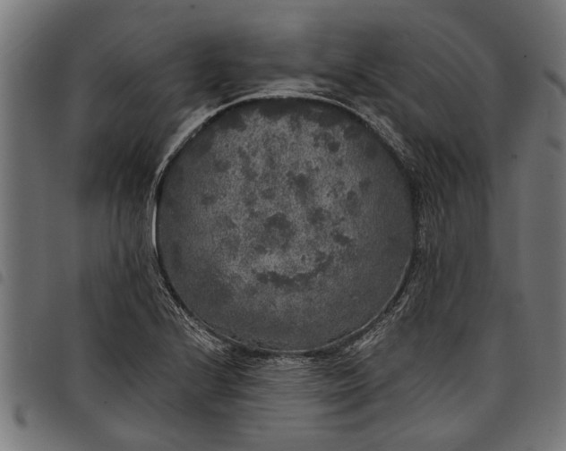 X0000097811224200803281050