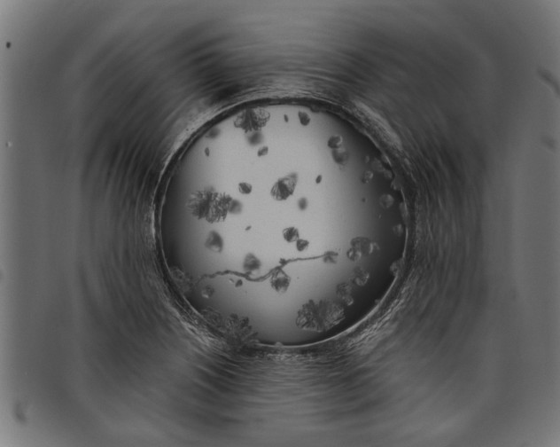 X0000097811226200803281050