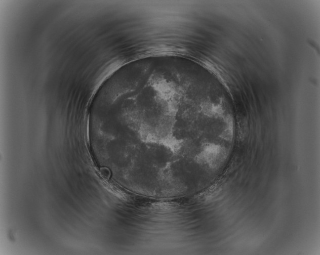 X0000097811227200803281050