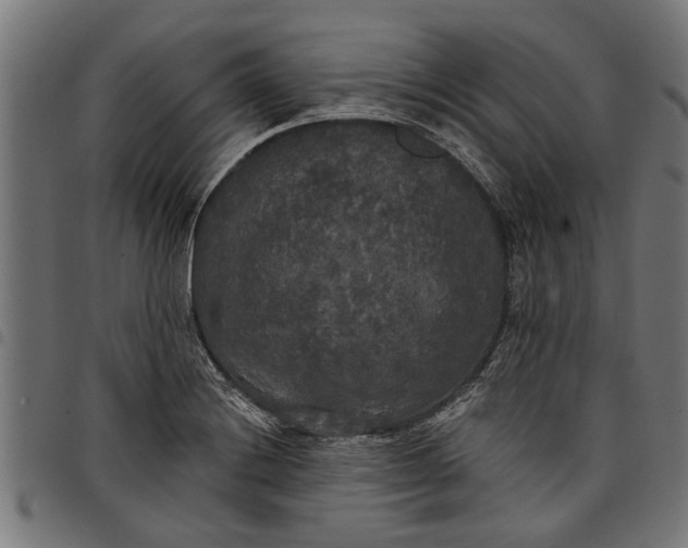 X0000097811228200803281050