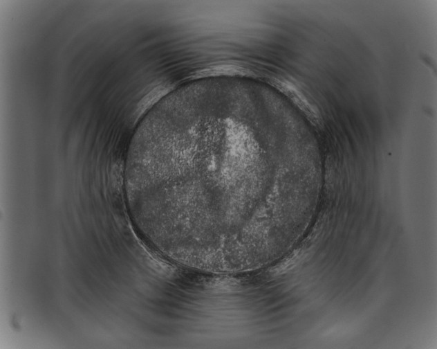 X0000097811233200803281050