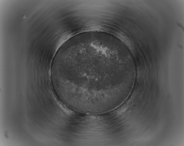 X0000097811234200803281050