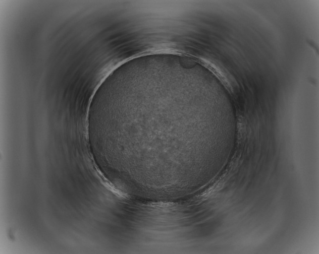 X0000097811236200803281050