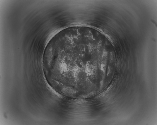 X0000097811239200803281050