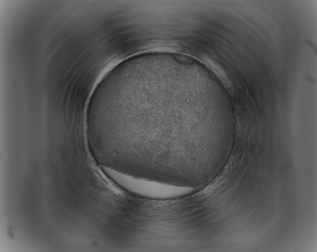 X0000097811240200803281051