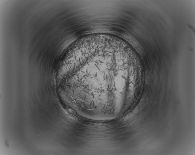 X0000097811241200803281051