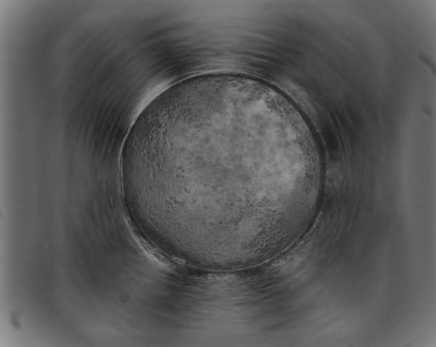 X0000097811242200803281051