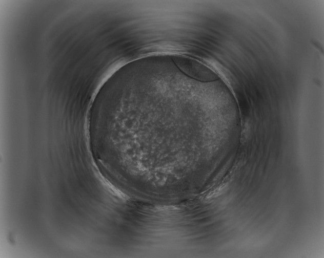 X0000097811243200803281051