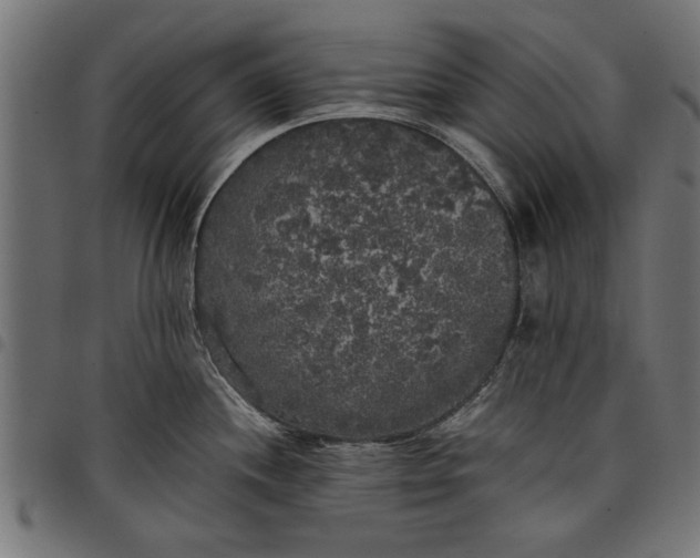 X0000097811244200803281051