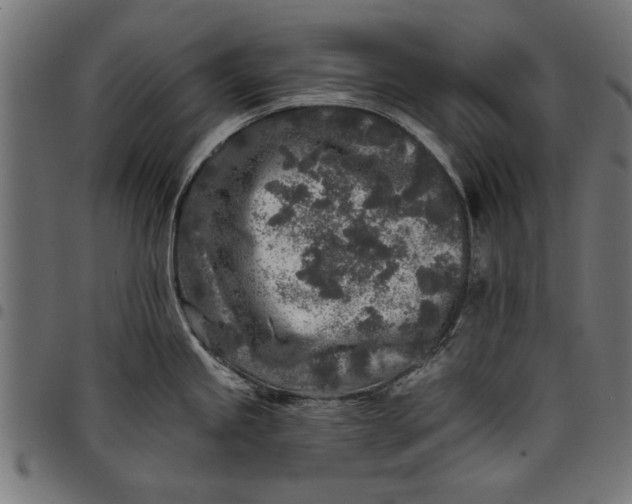 X0000097811245200803281051