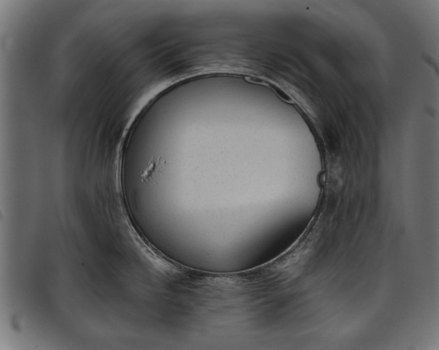 X0000097811246200803281051