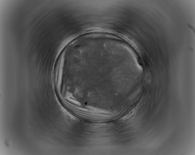 X0000097811247200803281051