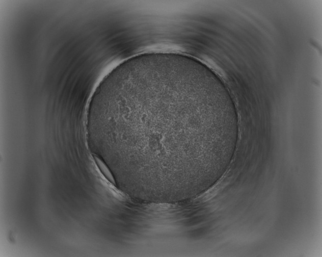 X0000097811248200803281051