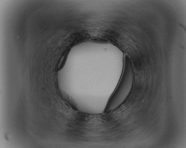 X0000097811249200803281050