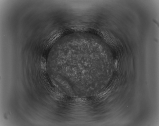 X0000097811251200803281050