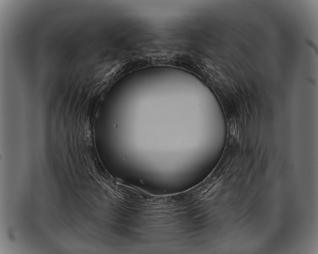 X0000097811252200803281050