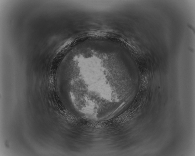 X0000097811254200803281050