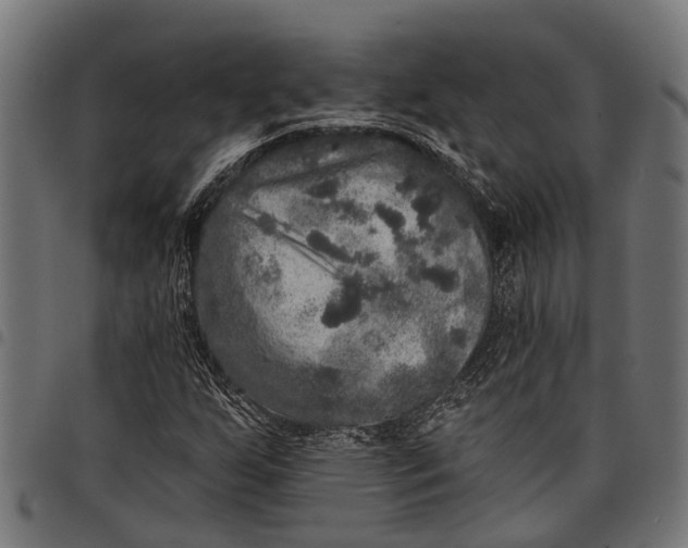 X0000097811255200803281050