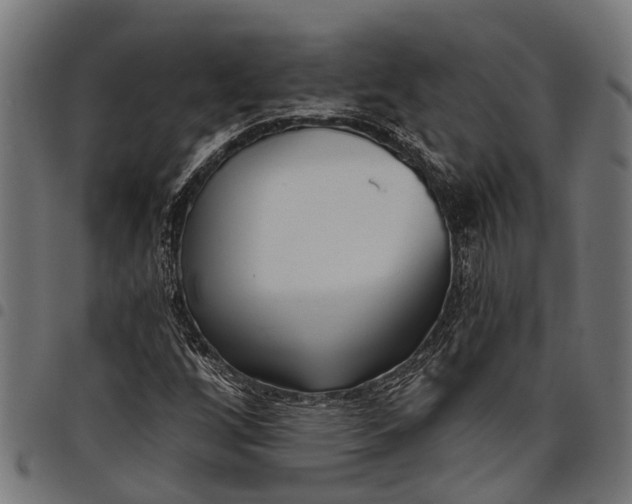 X0000097811256200803281050