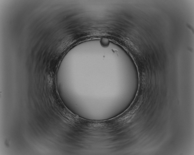 X0000097811257200803281050