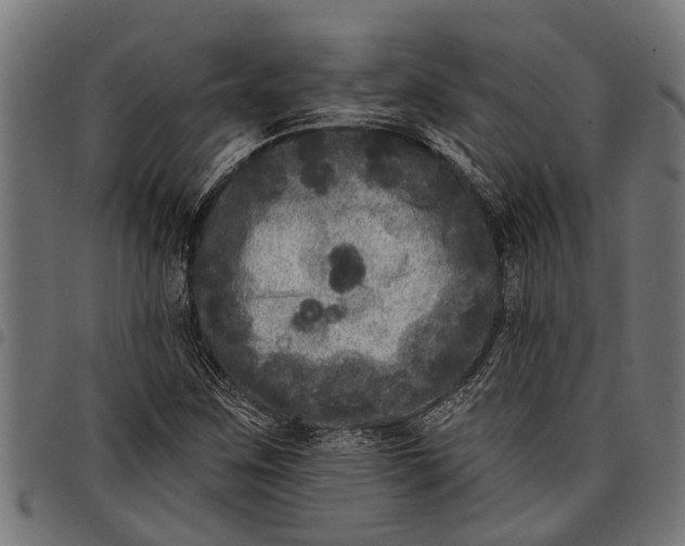 X0000097811259200803281050