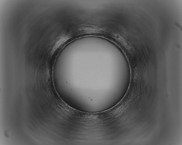 X0000097811261200803281050