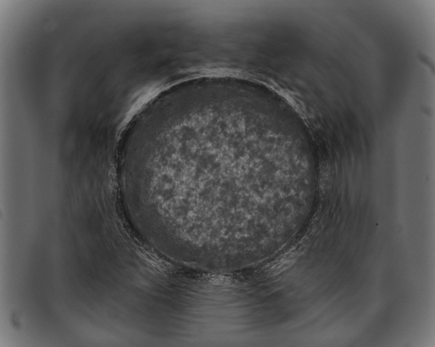 X0000097811263200803281050