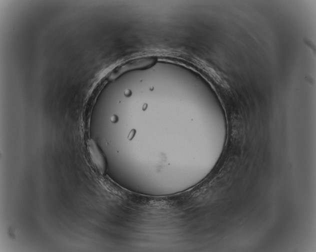 X0000097811264200803281050