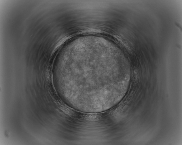 X0000097811266200803281050