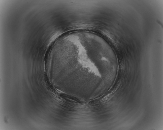 X0000097811267200803281050