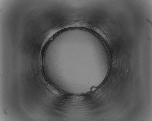 X0000097811270200803281050