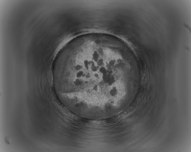 X0000097811271200803281050