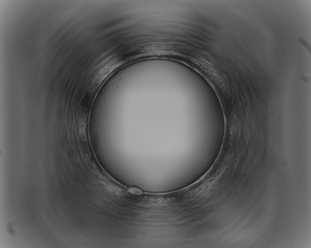 X0000097811273200803281050