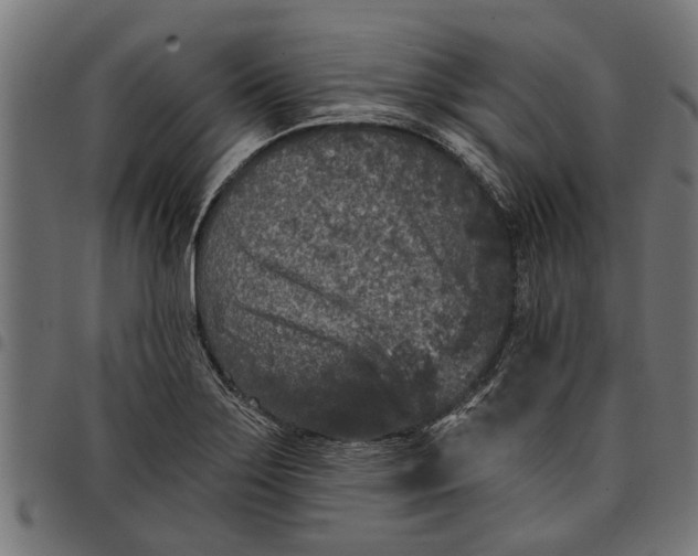 X0000097811275200803281050