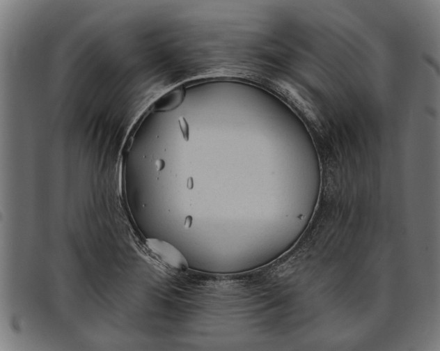 X0000097811276200803281050