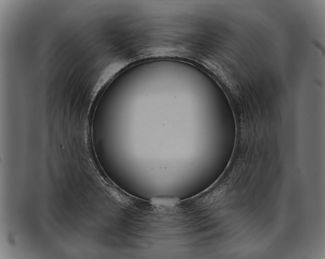 X0000097811277200803281050