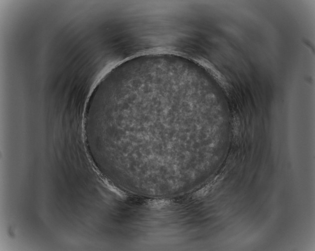 X0000097811278200803281050