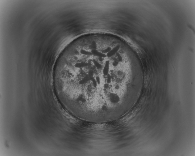 X0000097811279200803281050