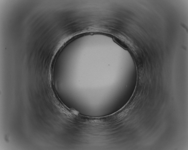 X0000097811280200803281050