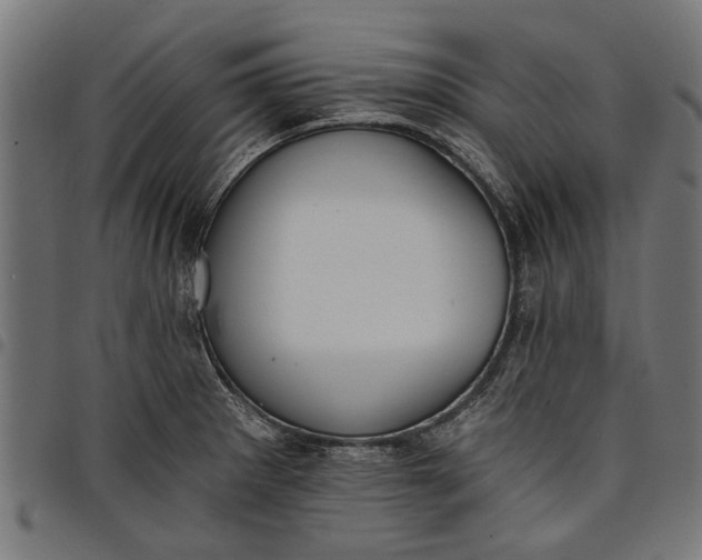 X0000097811281200803281050