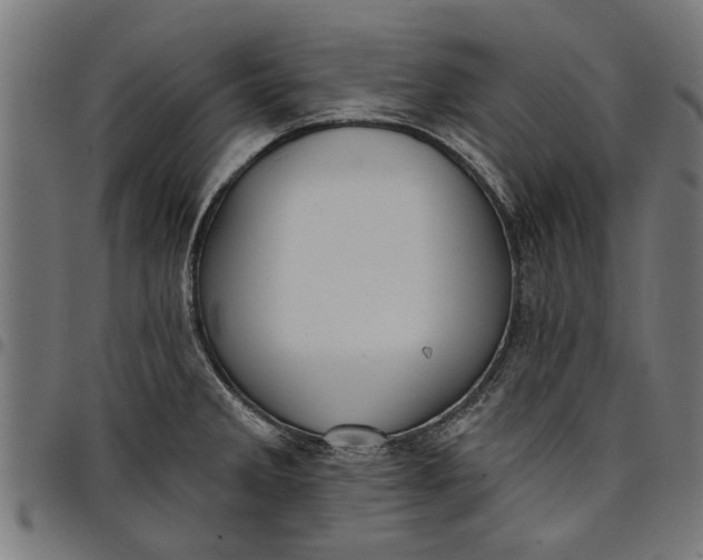 X0000097811285200803281049