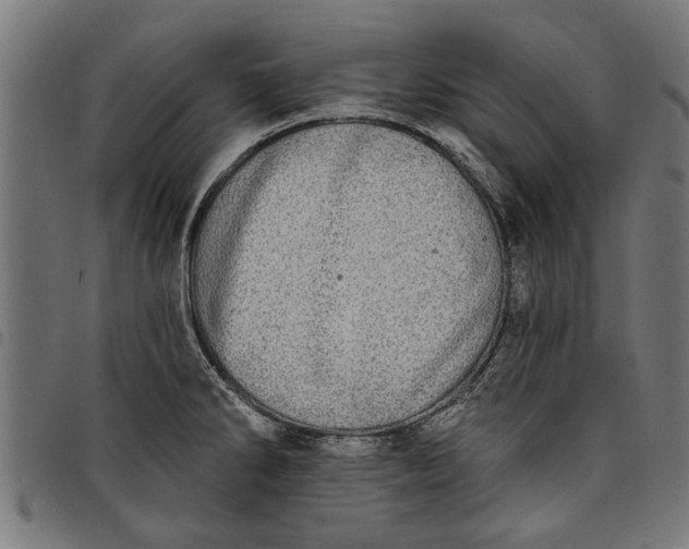 X0000097811286200803281049