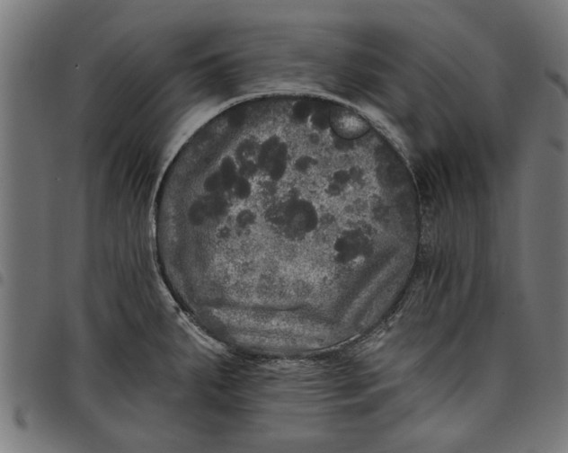 X0000097811287200803281049