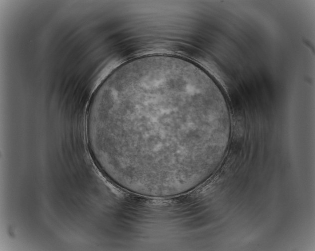 X0000097811290200803281049