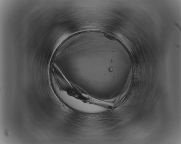 X0000097811291200803281049