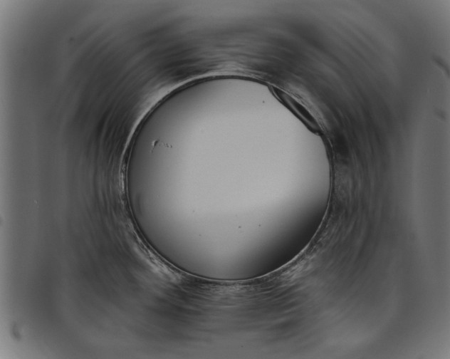 X0000097811292200803281049