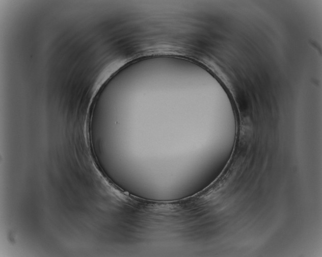 X0000097811293200803281049