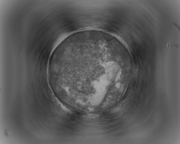 X0000097811294200803281049